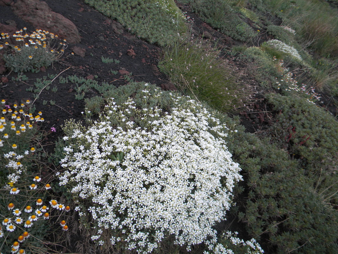 DSCN9499 .JPG